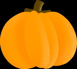 金黄灿灿天雕琢，喜迎南瓜丰收年，七彩水稻研学季，体验割稻谷的快乐！