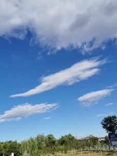 万寿公园-北京-YoYo_2W2Q3L5U