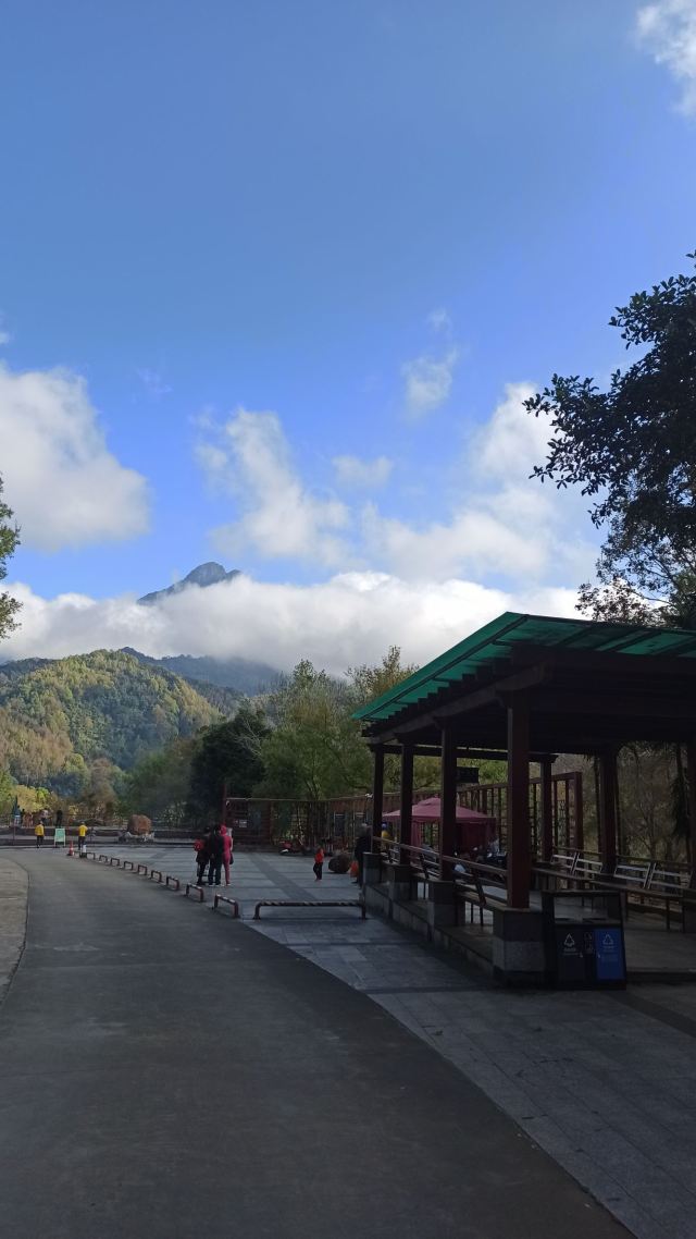 海南热带雨林国家公园五指山景区旅行图片 4