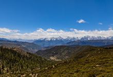 西藏芒康滇金丝猴国家级自然保护区景点图片