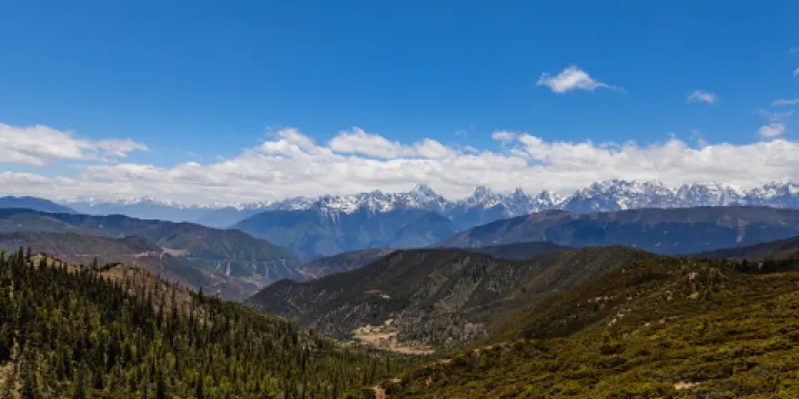 紅拉山滇金絲猴自然保護區