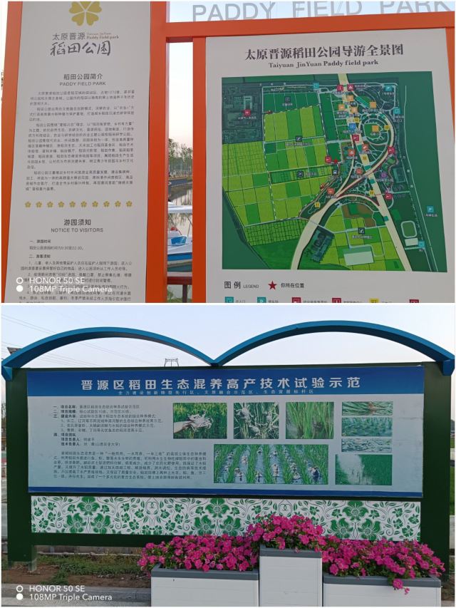 太原康培稻田公园旅行图片 3
