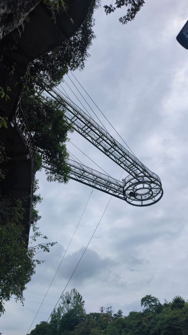 洒金公园旅行图片 2