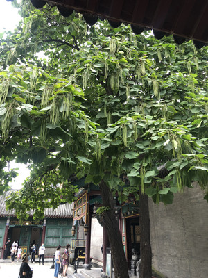 愉快的亲子之旅