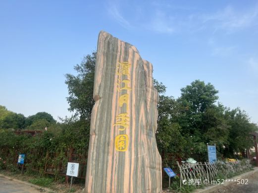 滨江月季园