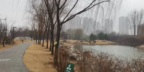 小南湖濕地公園