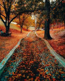 塞格门勒公园-安卡拉-Laird_Torrance