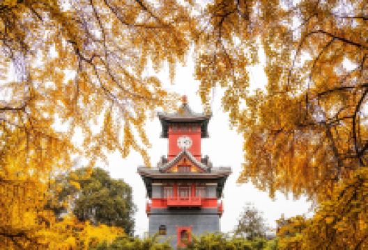 四川大学(望江校区)景点图片