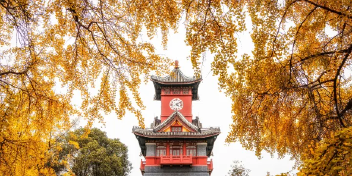 四川大學(望江校區)