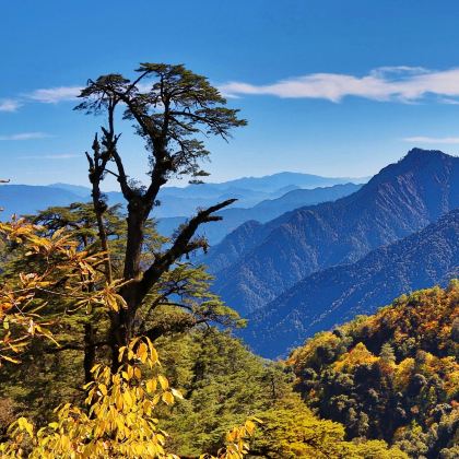 腾冲+高黎贡山+大地茶海露营地+火山地热国家地质公园+北海湿地+腾冲热海风景区+司莫拉佤族村+和顺古镇景区+滇西抗战纪念馆6日5晚跟团游