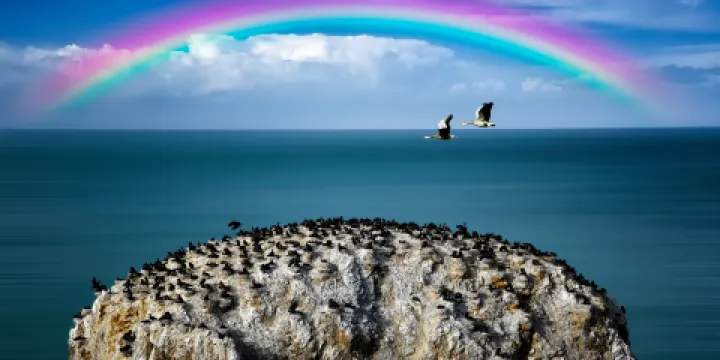 青海湖-鳥島景區