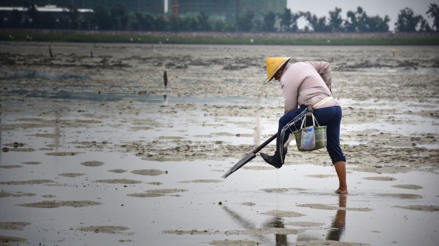 红树林赶海人家
