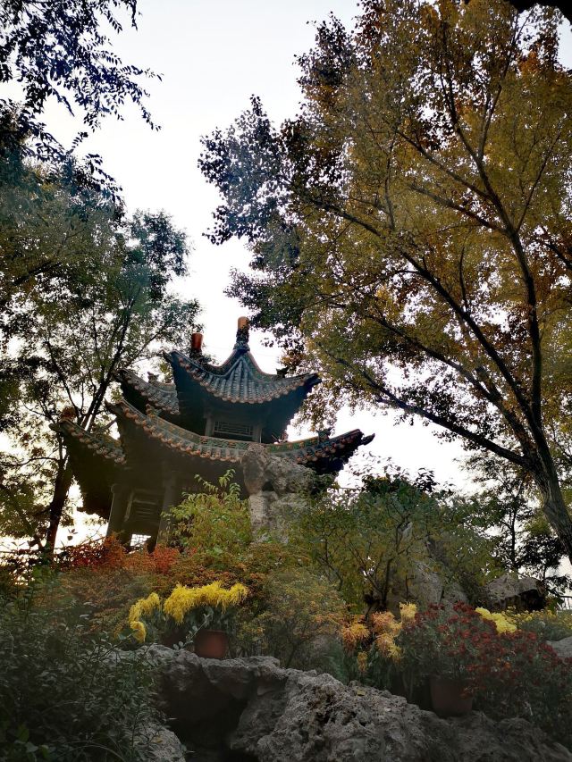 碑林公园旅行图片 4