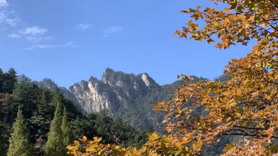大明湖