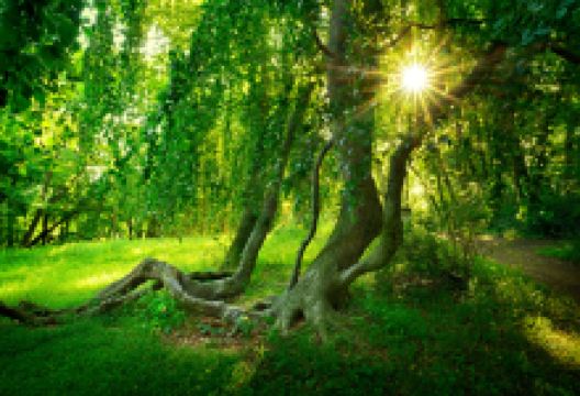 亚斯蒙德国家公园景点图片