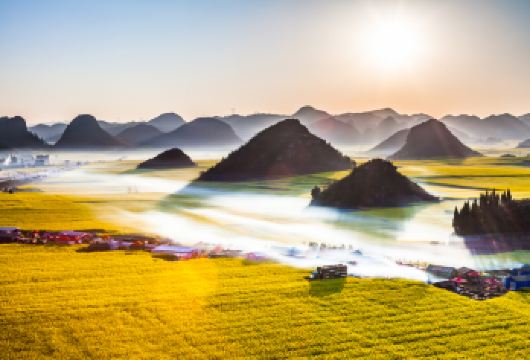 罗平螺丝田+金鸡峰丛+油菜花景区一日游【包车私家团】【精华景点一览无遗:牛街螺丝田、金鸡峰丛、罗平菜花节主会场】