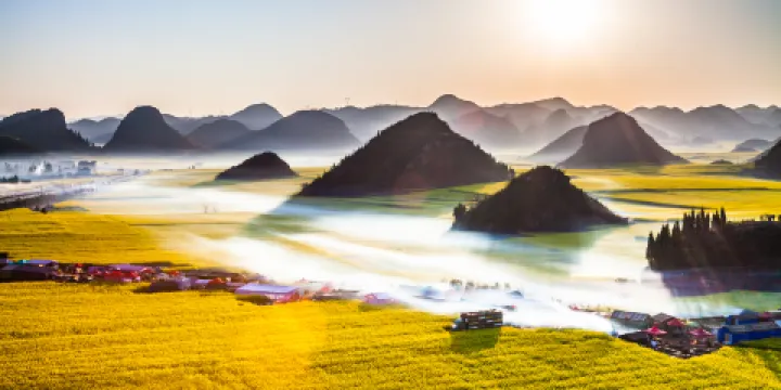 羅平油菜花景區