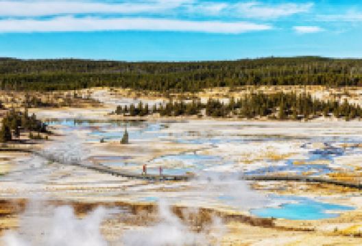诺里斯间歇泉盆地景点图片