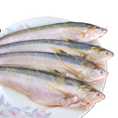 太仓游记图片] 长江“三鲜”，即将失去的记忆