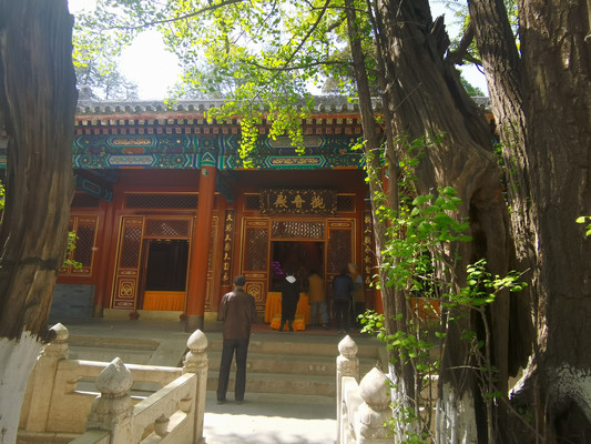 去八大处公园看什么