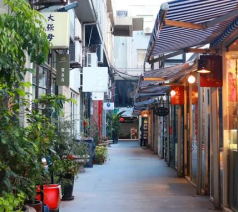 奥克兰游记图文-绿维文旅：历史街区旅游开发模式，“三维坐标”与“十化手法”