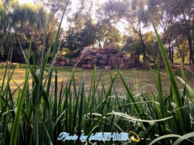 夏芳园旅行图片 6