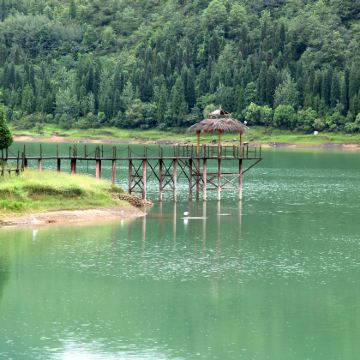 六盘水+乌蒙大草原+妥乐古银杏3日2晚私家团