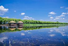 黑龙江富锦国家湿地公园景点图片