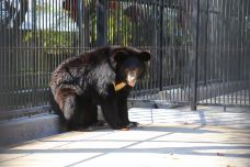 茂名森林公园-茂名-C-IMAGE