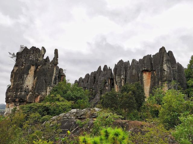 乃古石林风景区旅行图片 4