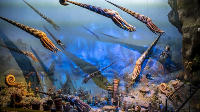 浙江自然博物院