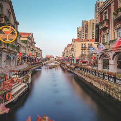 江苏盐城+荷兰花海+中华麋鹿园3日2晚私家团