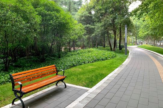 月季公园