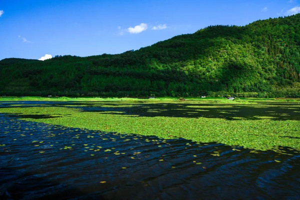 北海湿地，浮在水面上的草原