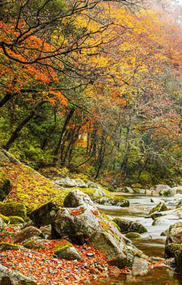 入黄柏塬,走姜眉公路,宝鸡这些地方的秋景美醉了
