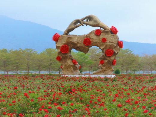 亚龙湾国际玫瑰谷