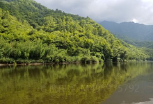 陇南阳坝梅园沟景点图片
