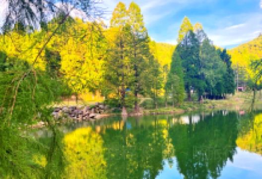 鹿湖顶自然保护区景点图片