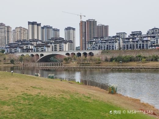 仪陇县金松湖公园