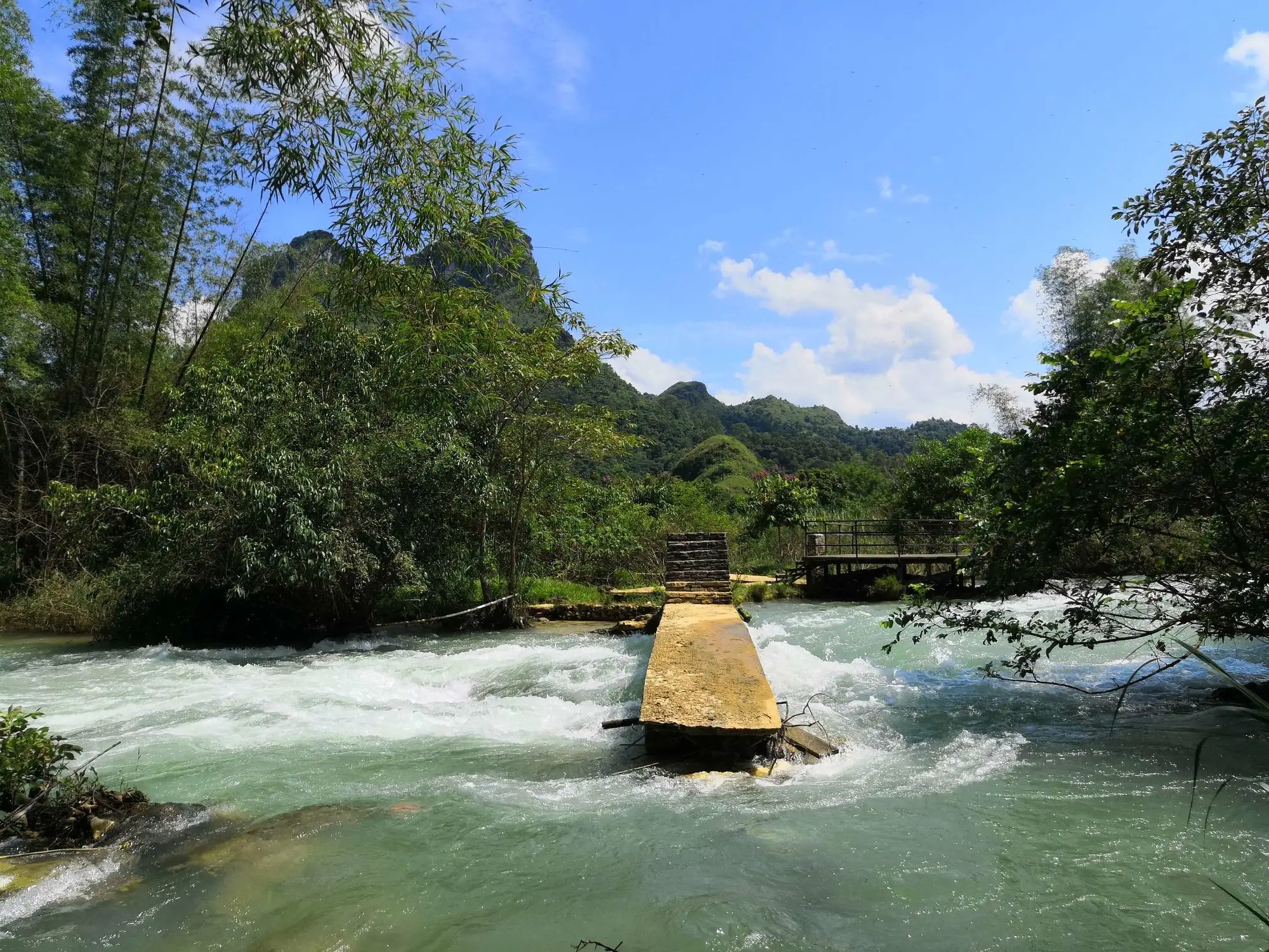 老木棉发现弄岗森林旅游景区-龙州-不想瘦成名的小伙伴