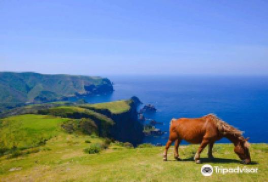 隐岐诸岛景点图片