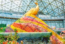 花之城景点图片