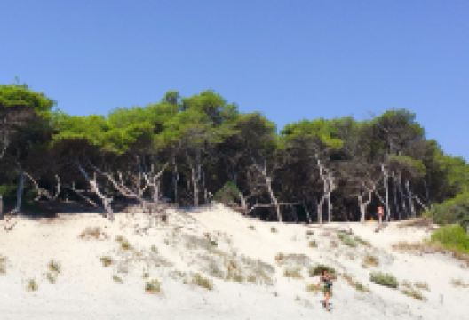Alimini Beach景点图片