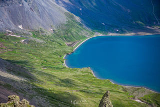 七月的山川、无恙丨在长白山,遇见一场高山花海