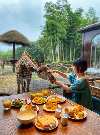 Molly酱|乘坐商合杭高铁之湖州72小时漫游记,感受不一样的烟雨江南