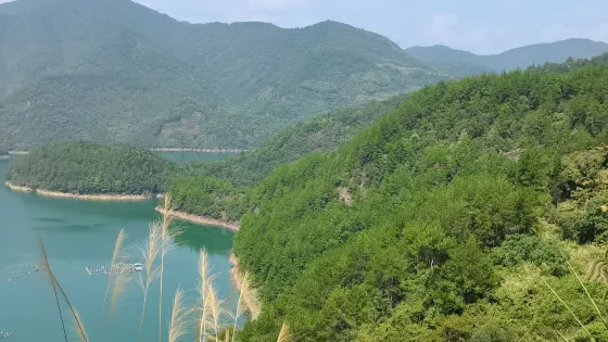 湖山森林公園