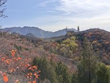 八达岭国家森林公园-北京-萱萱的美食之旅