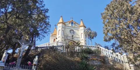 聖母山生態農業觀光園