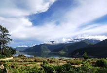 香格里拉高山植物园景点图片