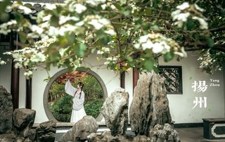 看园子、吃早茶、扬州三日就该这么玩